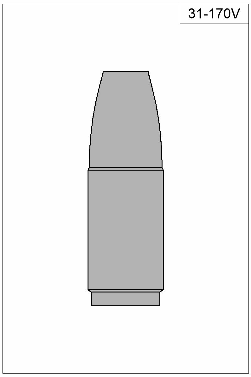 Filled view of bullet 31-170V