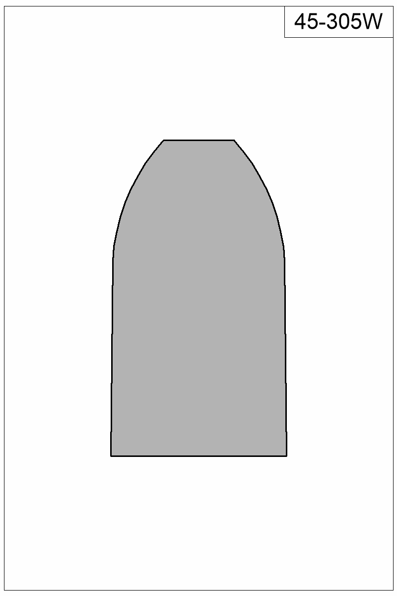 Filled view of bullet 45-305W