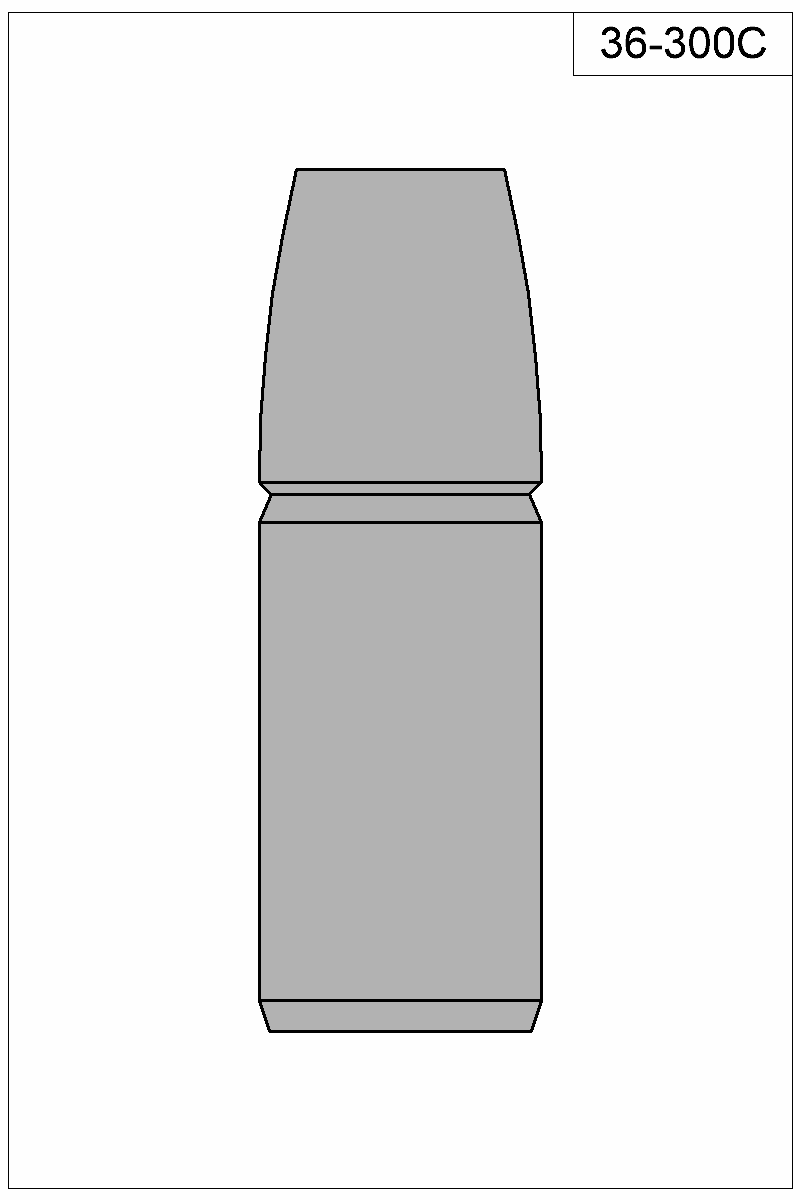 Filled view of bullet 36-300C