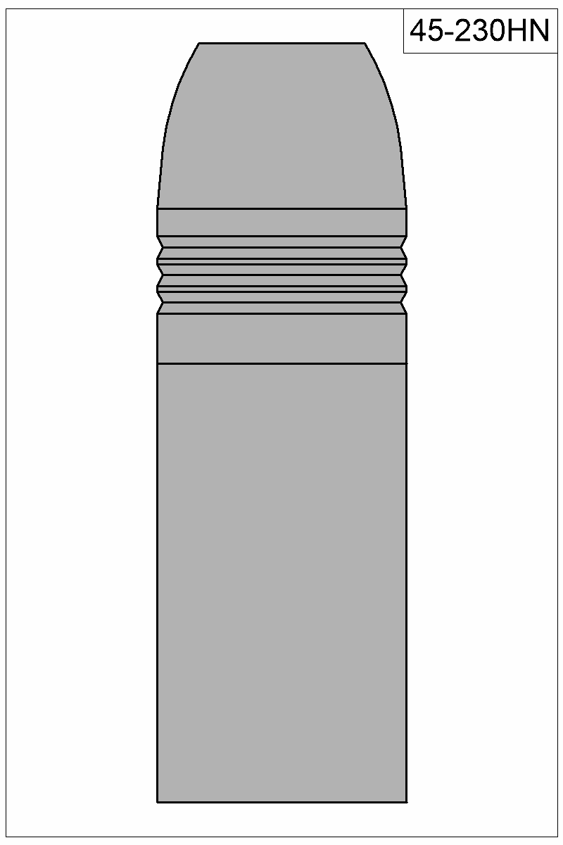 Filled view of bullet 45-230HN