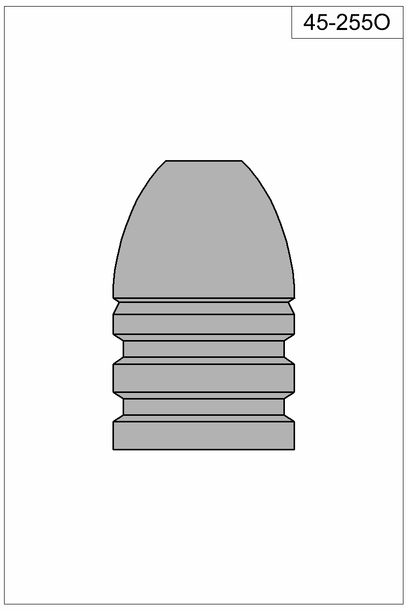 Filled view of bullet 45-255O