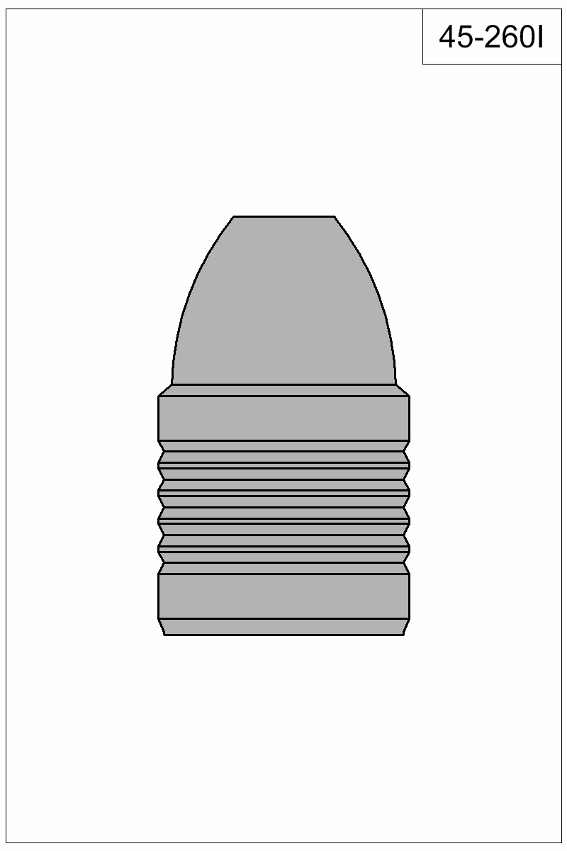 Filled view of bullet 45-260I